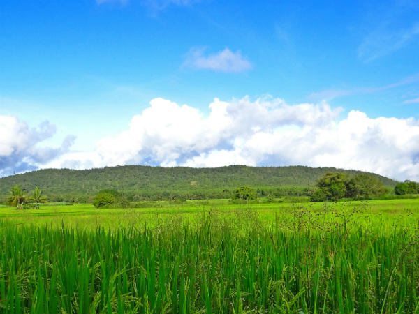 2) Palamathi Hills