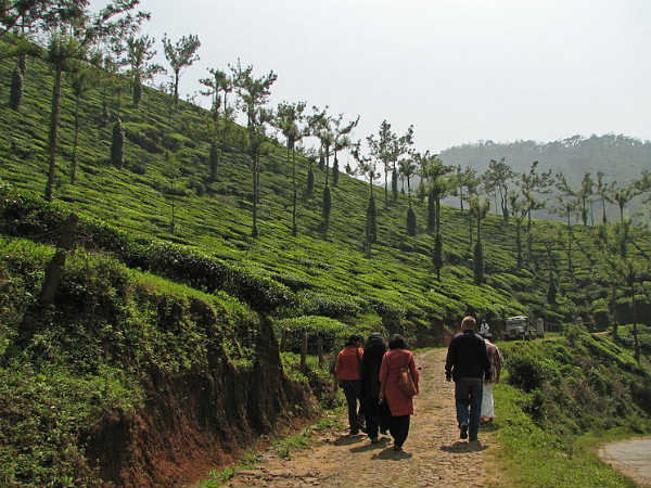Why You Must Visit Kumily