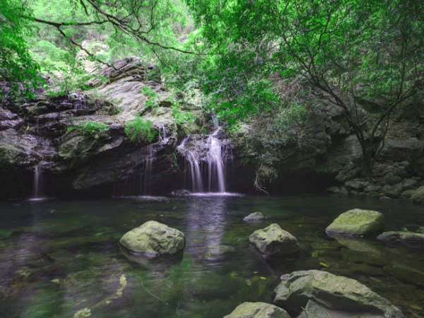4) Nagalapuram Falls