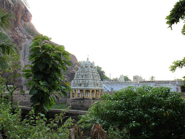 5) A Perfect Place For Tourists Seeking Peace