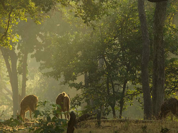 7) Surrounded By Several Natural Wonders
