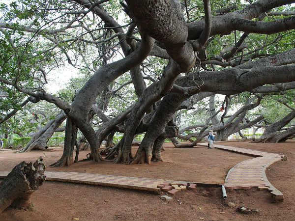 Mahbubnagar