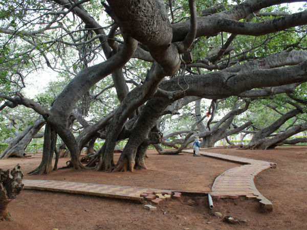 1. Mahbubnagar