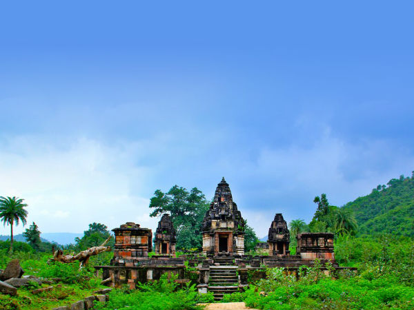 6) Polo Forest