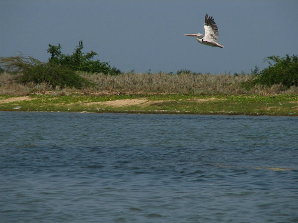 5) Irukkam Island