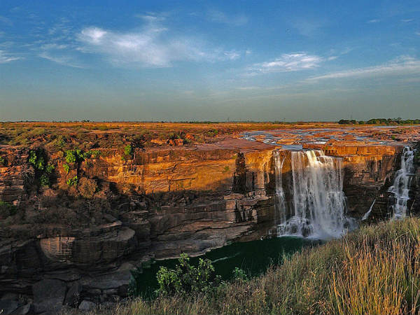 5) Rewa