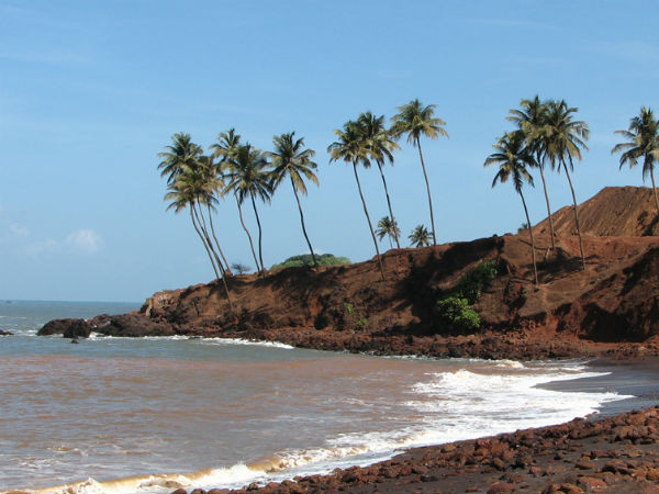 Why You Should Visit Redi