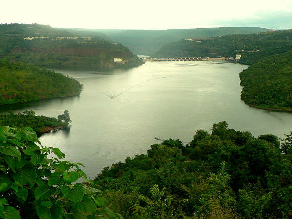 Nagarjunsagar-Srisailam Tiger Reserve