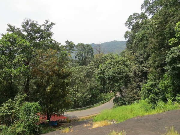 Why You Must Visit Virajpet