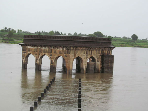 3) Gaya
