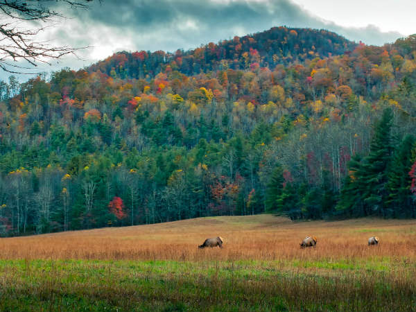 Best Time To Visit Kugti Wildlife Sanctuary