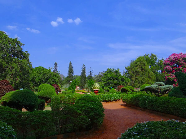 3) Jawaharlal Nehru Botanical Garden