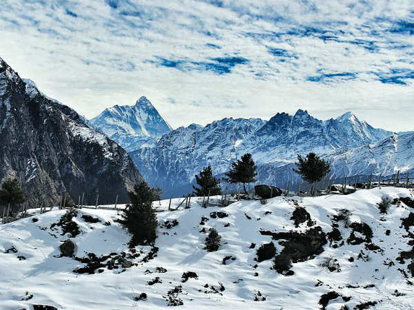 5) Auli
