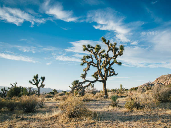 5) It Faces Drought Once Every 4 Years