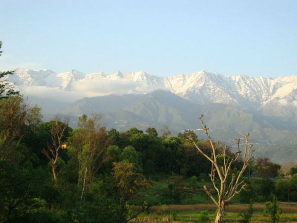 5) Kangra
