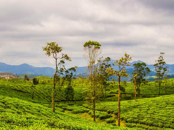 5) Valparai