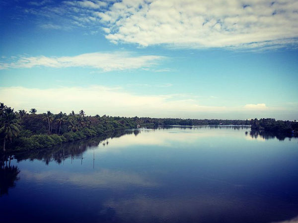 Aroor
