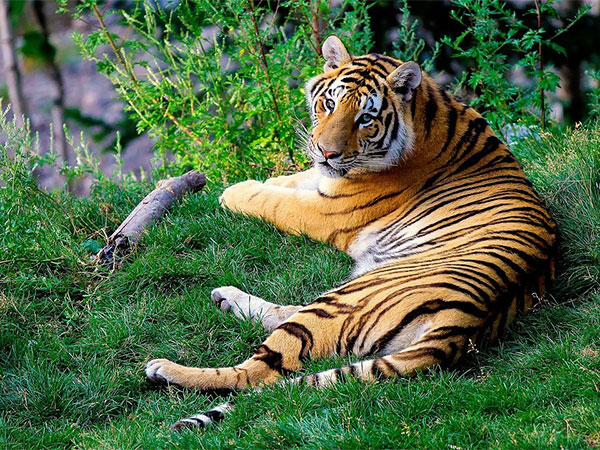 4) Anna Zoological Park:
