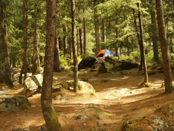 Camping