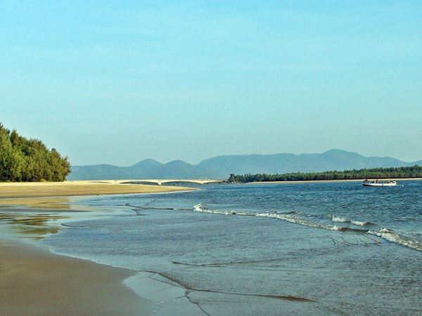 3) Dapoli
