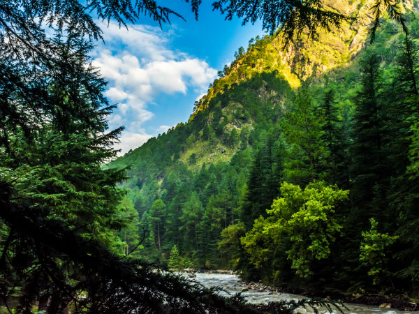 The Walk From Kasol