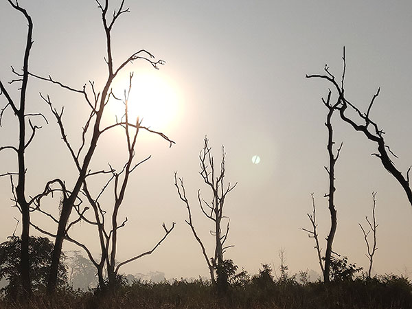 Best Time To Visit Rajaji National Park