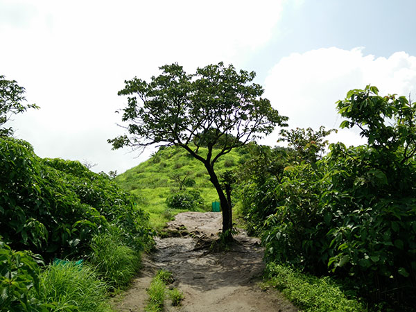 10) Kamshet