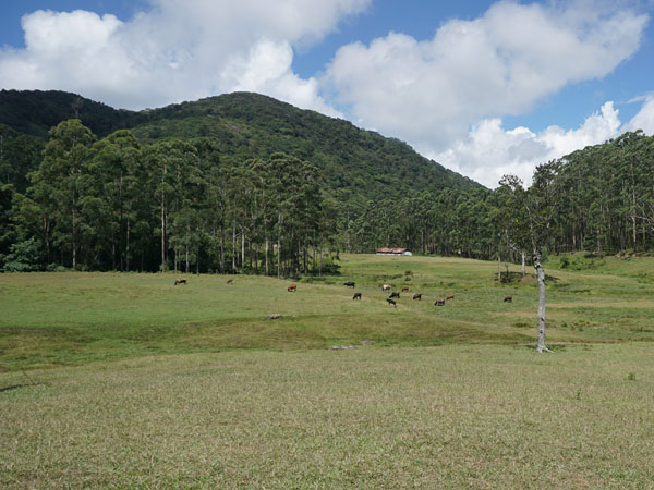Manjolai Hills
