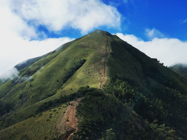 3) Meesapulimala