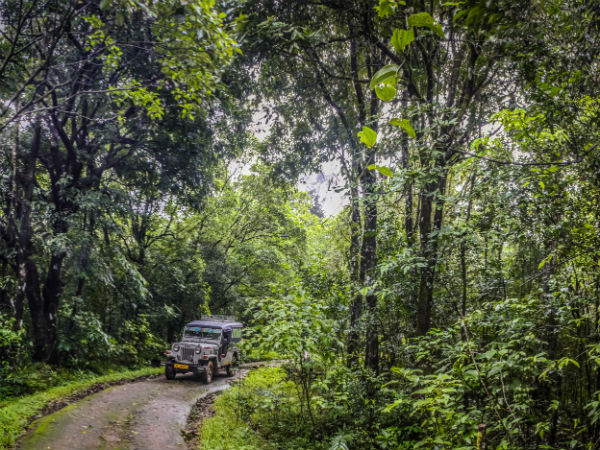 12) Palakkad:
