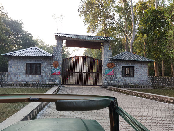 Why Should You Visit Rajaji National Park