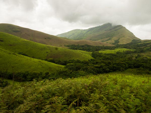 Kudremukh National Park