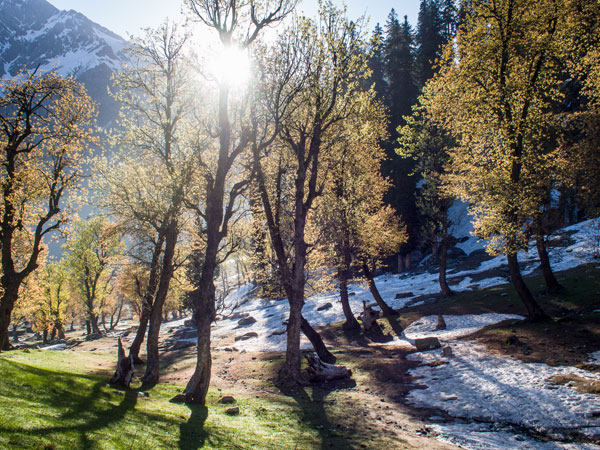 5. Sonamarg: Haider