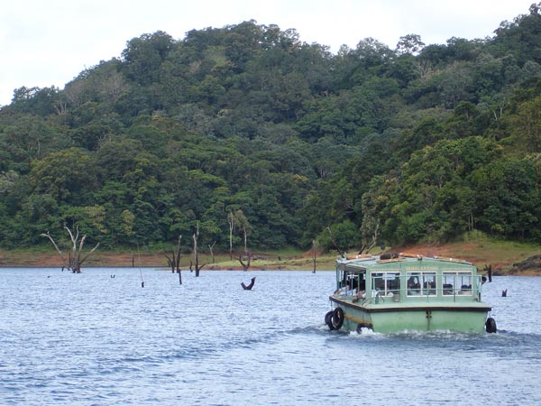 4) Thekkady: