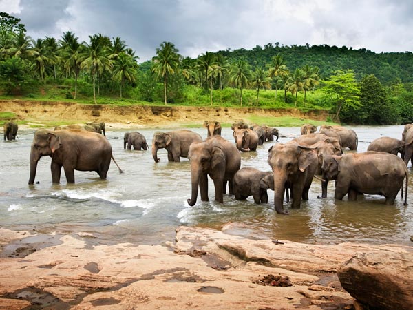 6) Wayanad: