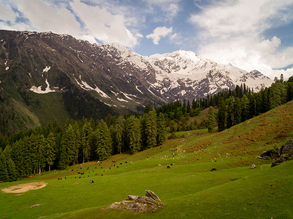 Himalayan National Park: