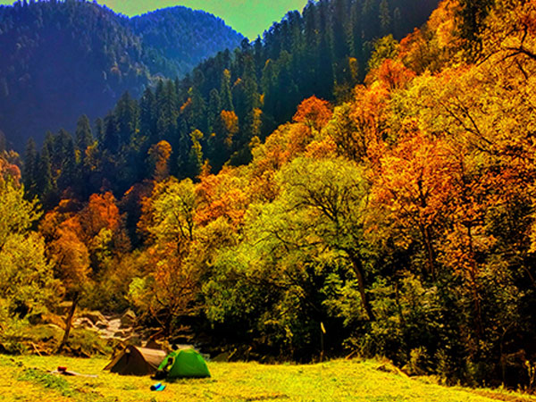 Kaisdhar: