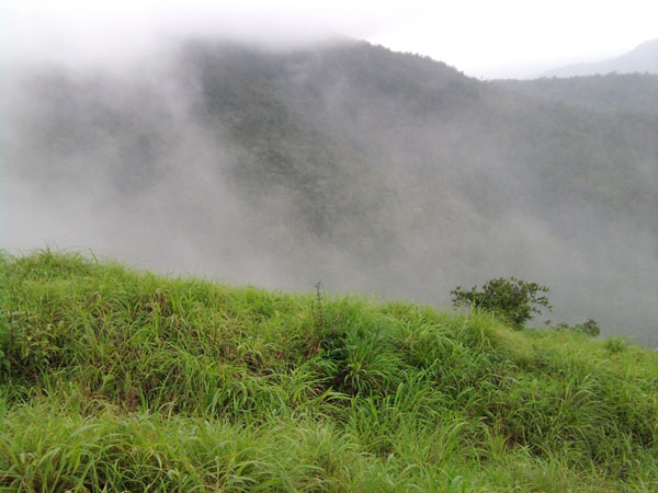8. Kodachadri Trek, Karnataka