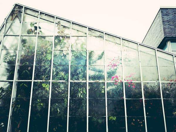 5) Visit The National Botanical Research Institute: