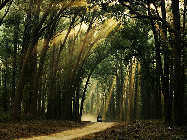 10. Sitabani Trek, Uttarakhand