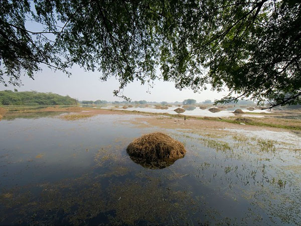 3. Vellode Bird Sanctuary