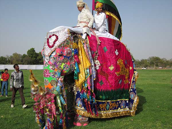 6. Jaipur, Rajasthan