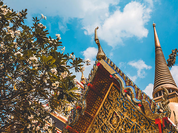 3. Golden Temple (Tibetan Monastery)