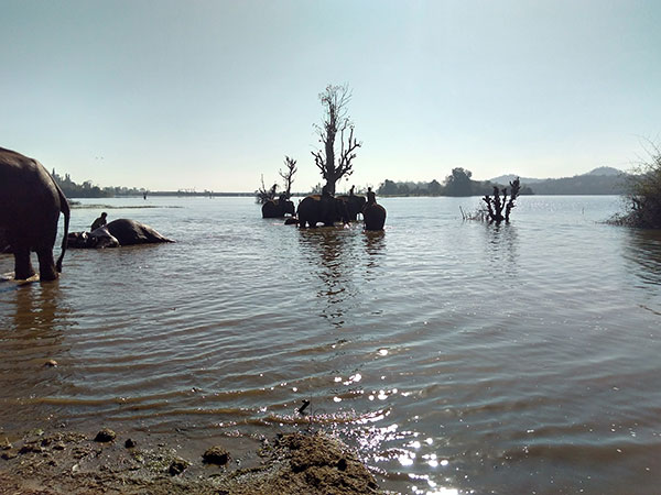 1. Tungabhadra Dam