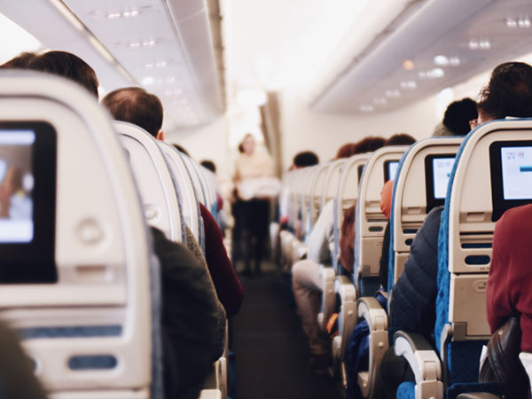 5. Flight Attendant