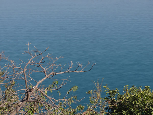 2. Gobind Sagar Lake
