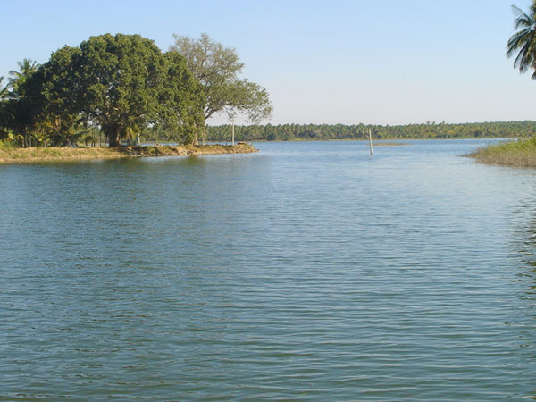 2. Hemavathi