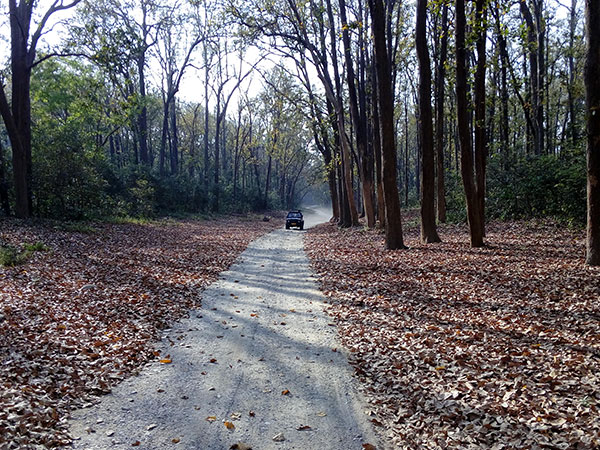 How To Reach Kumaon