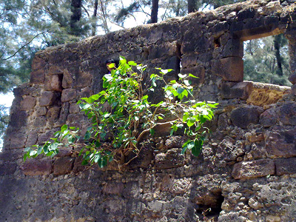 4. Kelva Fort