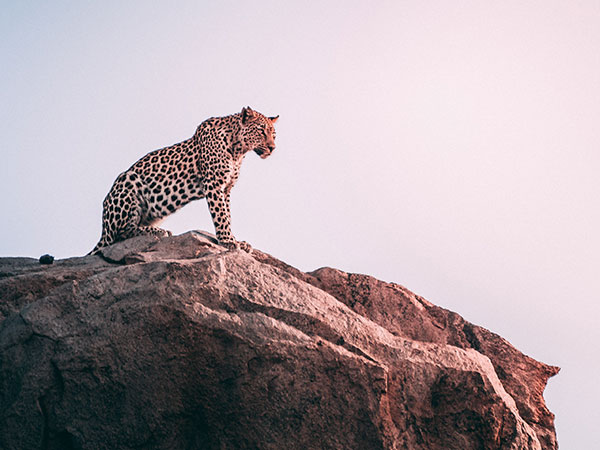 1. Kamlang Wildlife Sanctuary